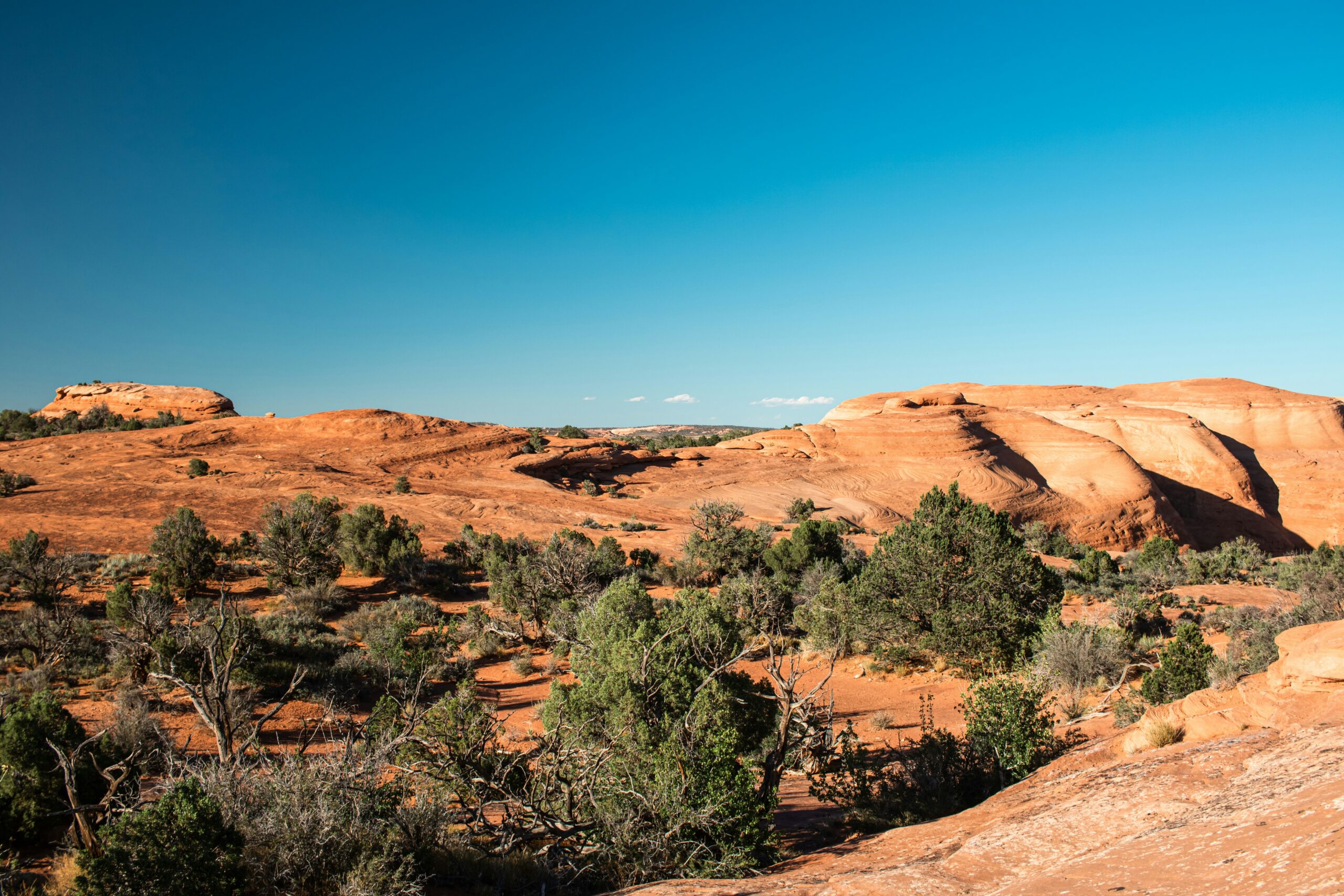 A man riding a motorcycle down a dirt road